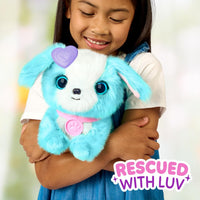 Scruff-A-Luvs Surprise Blue Pet with Carrier