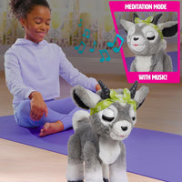 Daisy The Furreal Yoga Goat
