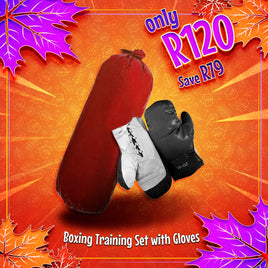 Boxing Training Set With Gloves
