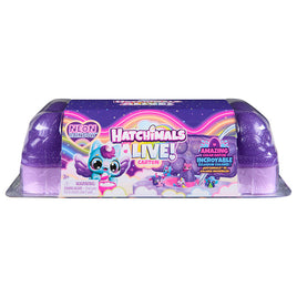 Hatchimals Alive Neon Rainbow Carton