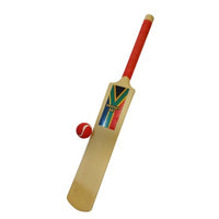 Plastic Cricket Bat Set No 6