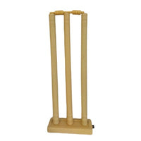 Plastic Cricket Bat Set No 6