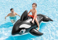 Intex Whale Ride-On - Thekidzone